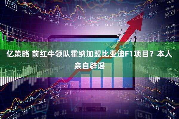 亿策略 前红牛领队霍纳加盟比亚迪F1项目？本人亲自辟谣